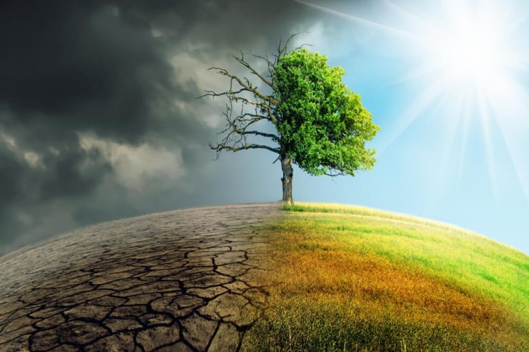 Climate Risk Assessment: How Businesses Can Get It Right